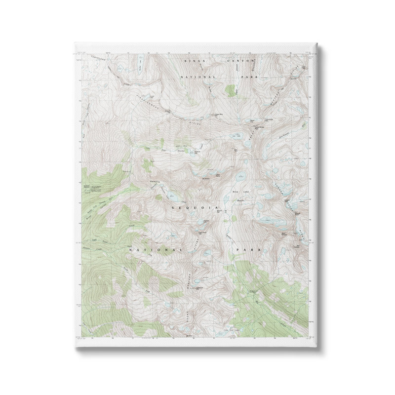 Carte topographique du parc national Kings Sequoia par Daphne Polselli, H 30 po x l 24 po, Toile tendue