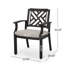 Outdoor Dining Chairs(Set Of 2) Kitchen Chairs Modern Dining Chairs Outdoor Dining Chairs