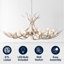 Lustre Rohrbach-1665339192-1665339195