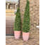 Topiaire conique en buis avec protection UV dans un pot en terre cuite H 48 po-1171826476