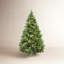 Carolina Flocked/Frosted Christmas Tree-1687330706