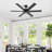 56" Modern Indoor Ceiling Fan with Remote Control, 6-Blade Ceiling Fan with Quiet Reversible DC Motor, Black & Walnut Finish-129389764