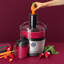 NutriBullet Centrifugal Juicer Pro