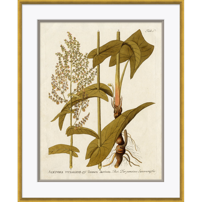 Gold Framed Botanical Acrylic Painting on Paper