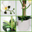 Arrangement floral orchidée dans un vase - Fleurs artificielles élégantes pour le bureau personnel-1832586028