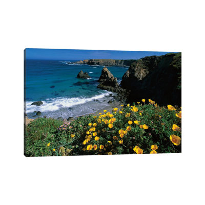 California Poppy Cluster Growing On Coastal Cliff, Jughandle State Reserve, Mendocino County, California by Tim Fitzharris - Wrapped Canvas Print