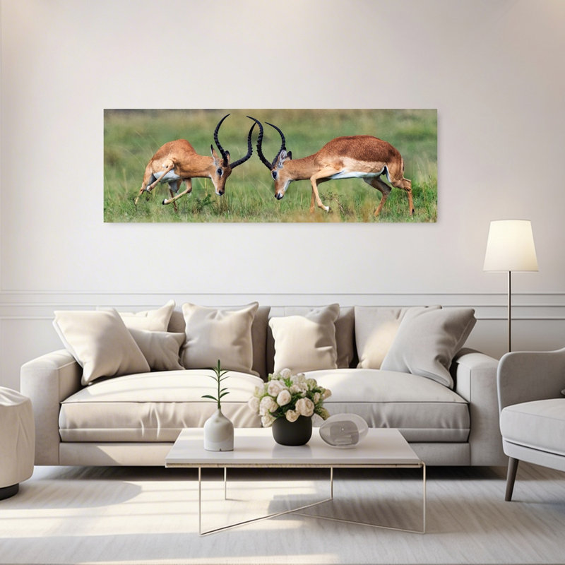 Dynamic Antelope Duel by Juan I. Cuadrado - Wrapped Canvas Panoramic Print, 50.8 cm H x 152.4 cm W