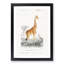 Giraffe by Charles D'Orbigny - Picture Frame Painting Print-55608201-55608202