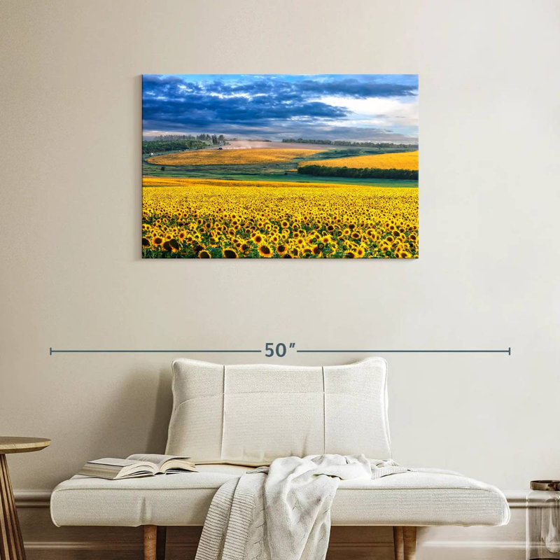 Champ de tournesols Alvord, H 24 po x l 36 po