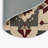 Eternal Ornament Indoor And Outdoor Area Rug-421709817
