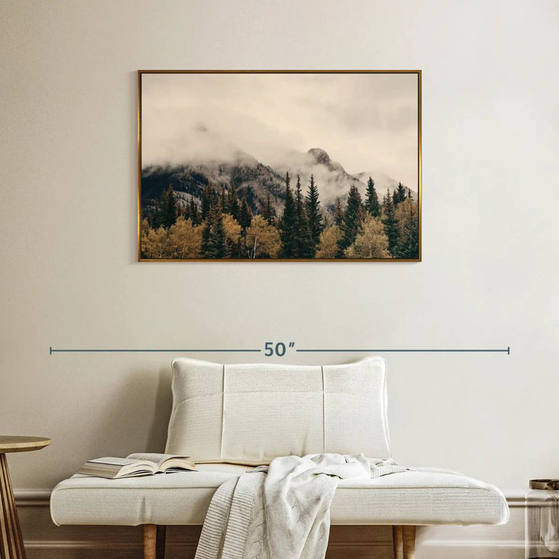 Foggy Banff National Park, Cadre flottant doré, 37 po x 25 po