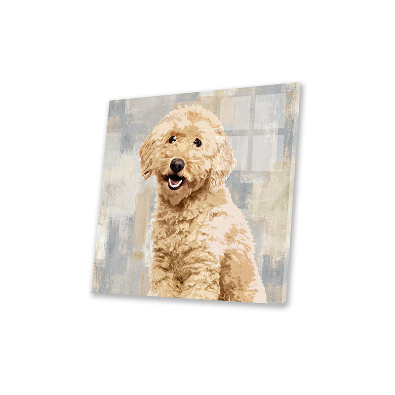 Impression de caniche sur verre acrylique, H 24 po x l 24 po x P 0,25 po