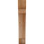 Attelle de genou olympique-31230592-29309935-70298181
