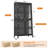 Glass Display Cabinet with LED Lights, 7-Color Lighting & 4 Shelves, Black