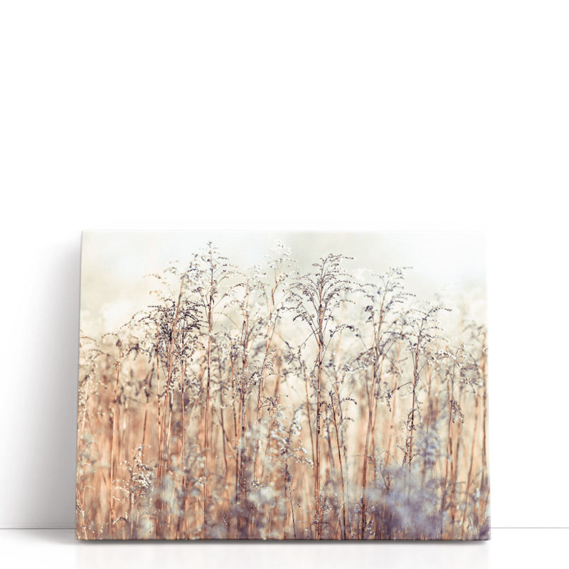 Herbes rosées - reproduction d'art sur toile, H 30 po x l 40 po
