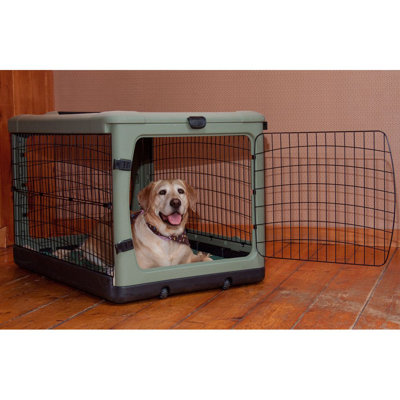 Plastic Collapsible Pet Crate with 4 Doors