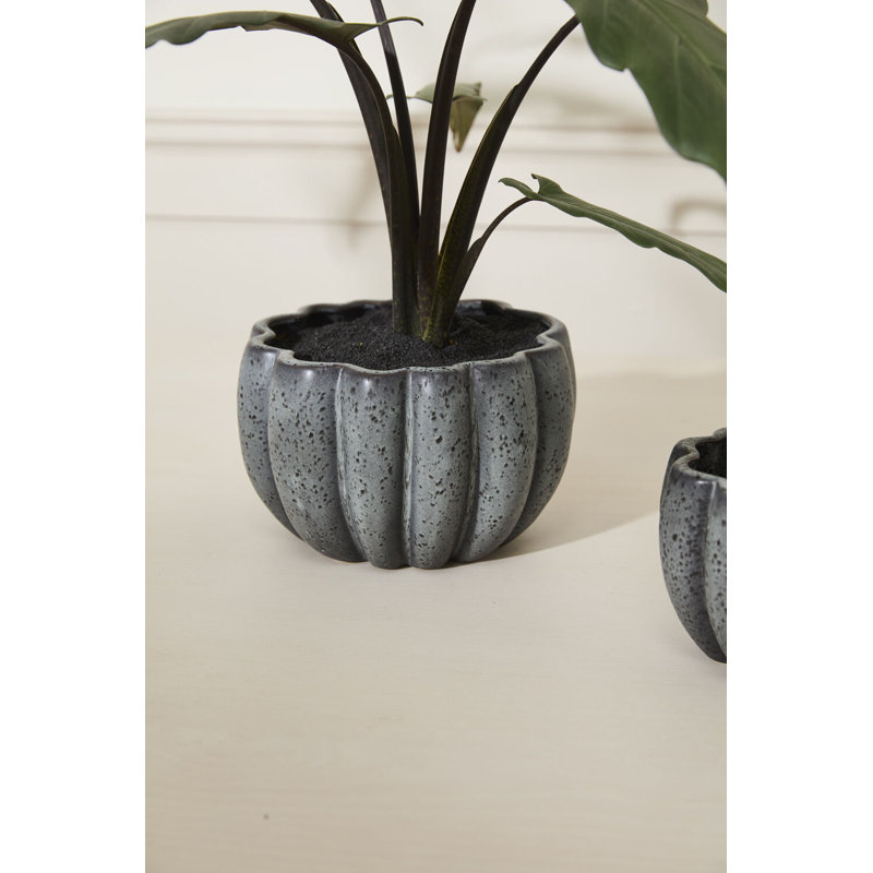 Spiced Pumpkin Pot 8.25"x 5", 5" H x 8.25" W x 8.25" D