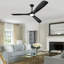 Ventilateur de plafond noir 42 po avec lumières DEL et télécommande-88202007-88202012
