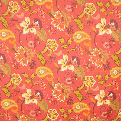 Tissu d’ovin
