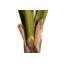 165cm Faux Banana Leaf Plant in Pot