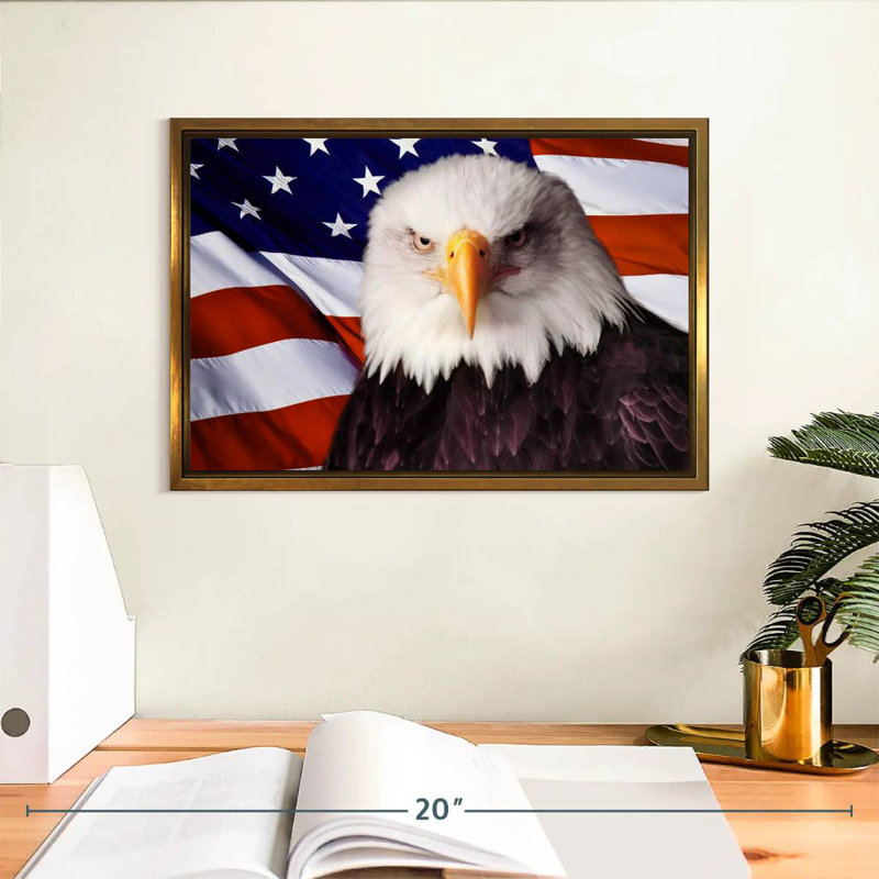 Drapeau américain, aigle à tête blanche, Cadre flottant doré, 13 po x 9 po