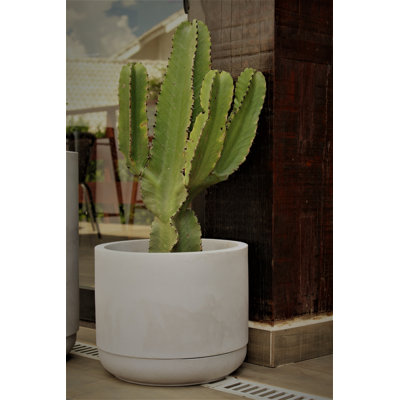 Pot Planter