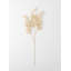 Smilax vaporisateur