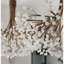 Lustre clair classique / traditionnel-1876450455-1876450406-1836735726