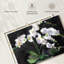 Harnek Quelque chose de floral II-107860022