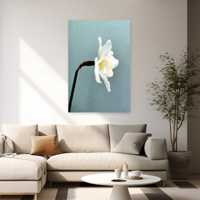Contemporary Art Elegant Flower Wall Art by Angelo Cerantola - Wrapped Canvas Print