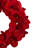 Faux Amaryllis Polyester 22'' Wreath