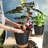 Plant Pots with Drainage Hole-396551370