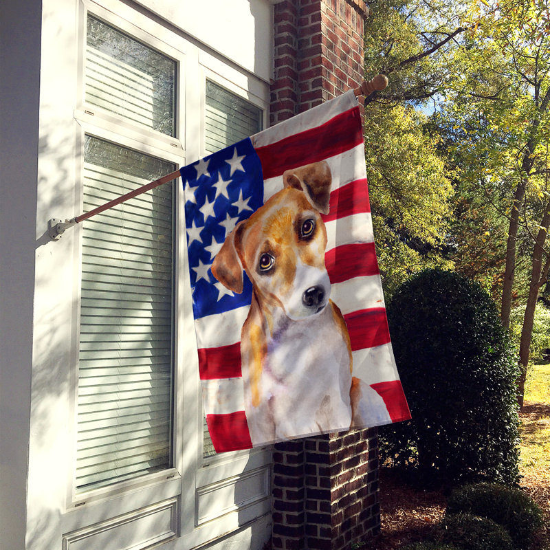 Drapeau de maison en polyester à 2 côtés Shahnur, Jack Russell terrier brun clair
