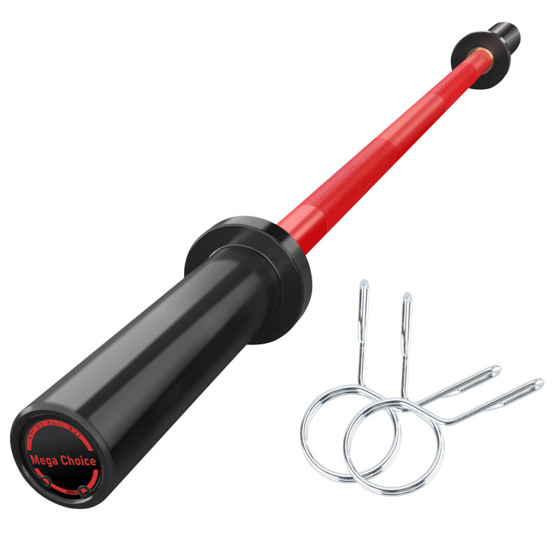 Barres de levage robustes de 4 pi, capacité de poids de 500 lb, convient aux plaques standard de 2 po, 2 colliers à ressort, poignée moletée pour la gymnastique à domicile, entraînement en force