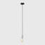 Baden 1 - Light Bulb Pendant-45618971-45248739