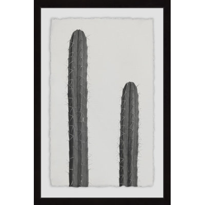 Paire de cactus 18