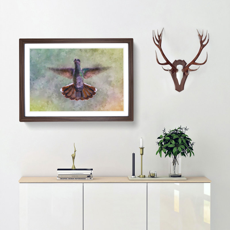 Wings of a Hummingbird - Picture Frame Painting Print, Walnut Framed, 62cm H x 87cm W x 2cm D