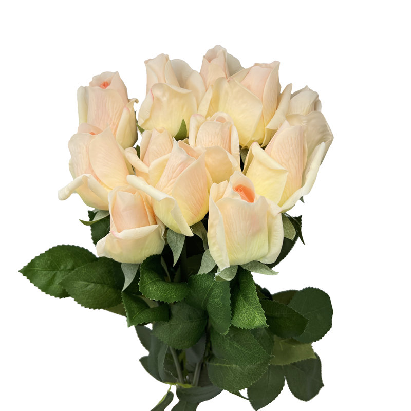 Arrangement floral de roses, Beige