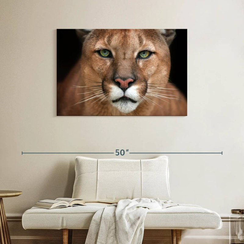 Crowle Staring Puma, 26" H x 39" W
