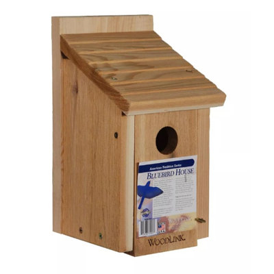 Wood Birding Essentials