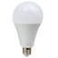 E27 LED Vintage Edison Globe Light Bulb-80822387