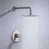 Brushed Nickel