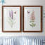 «Wildflower Botanical I», ensemble de 2 reproductions d'art-808463890-923653548-923653540