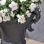 Filtres à urne d'intérieur-830598798-807922636