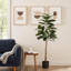 Arbre à caoutchouc artificiel Jack 52 po, feuilles vertes en soie avec pot noir