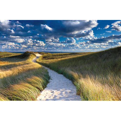 " Philbin Beach Path "