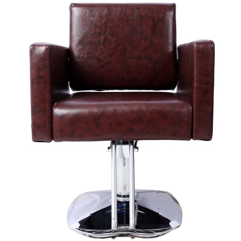 Beauty Shampoo Barbering Chair