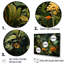 Sounds Of The Jungle I - Forest Wall Decor-1939347773-1939347772
