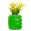 6 po Hulk Smash Plant