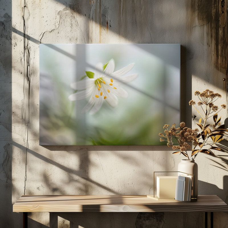 Wrapped Canvas Print, 76.2 cm H x 50.8 cm W